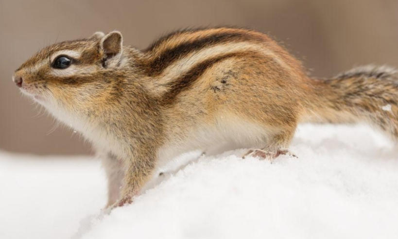 天津市首达永恒离合器有限公司轮播图3