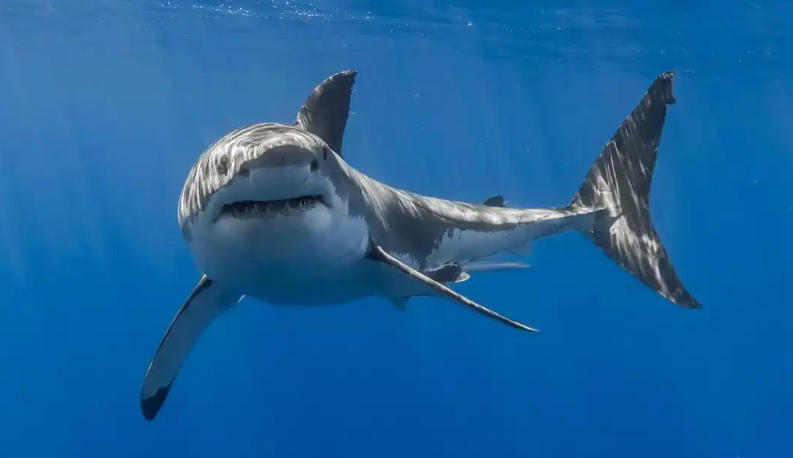 天津市首达永恒离合器有限公司轮播图1