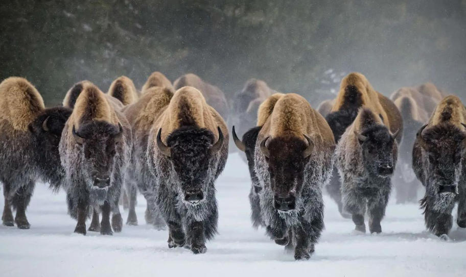 天津市首达永恒离合器有限公司轮播图4
